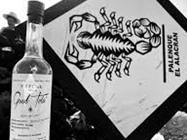 Mezcal Guul Tola Palenque El Alacrán